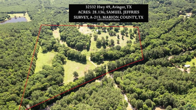 32332 W State Highway 49, Avinger, TX 75630 - photo 19