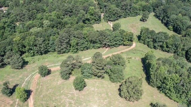 32332 W State Highway 49, Avinger, TX 75630 - photo 27