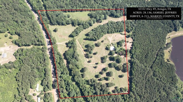 32332 W State Highway 49, Avinger, TX 75630 - photo 18