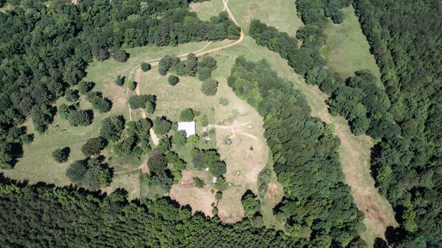 32332 W State Highway 49, Avinger, TX 75630 - photo 21