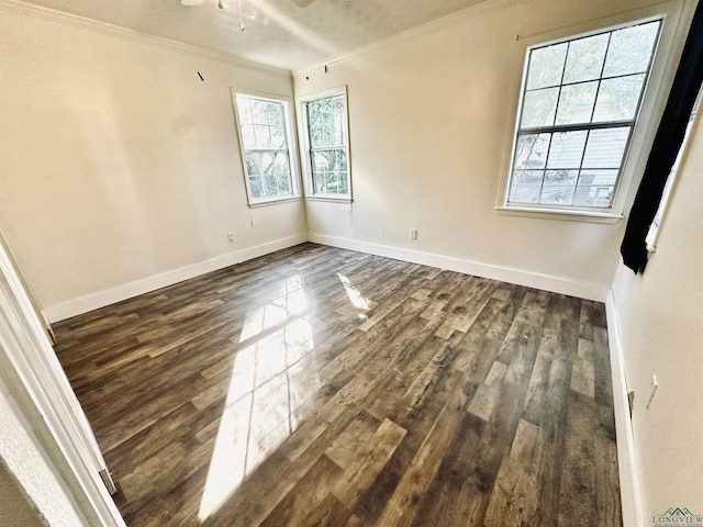 empty room featuring ceiling fan, dark hardwood / wood-style flooring, a textured ceiling, and ornamental molding