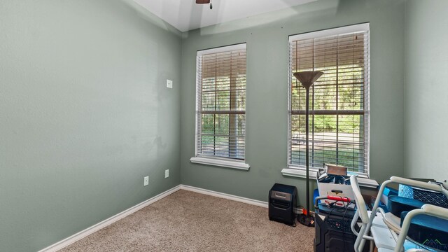 128 Inwood Rd, Texarkana, TX 75501 - interior space featuring carpet flooring, baseboards, and a ceiling fan