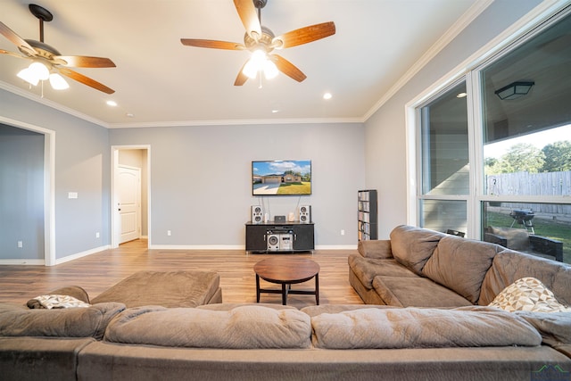 living room featuring ceiling fan, light hardwood / wood-style flooring, and ornamental molding