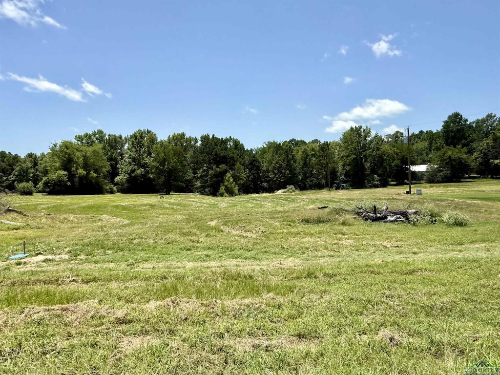 134 Collins Creek Rd, Hallsville, TX 75650 - photo 2