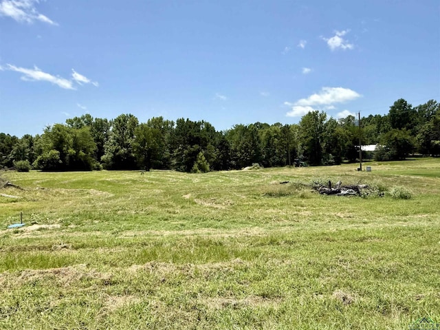 134 Collins Creek Rd, Hallsville, TX 75650 - photo 2