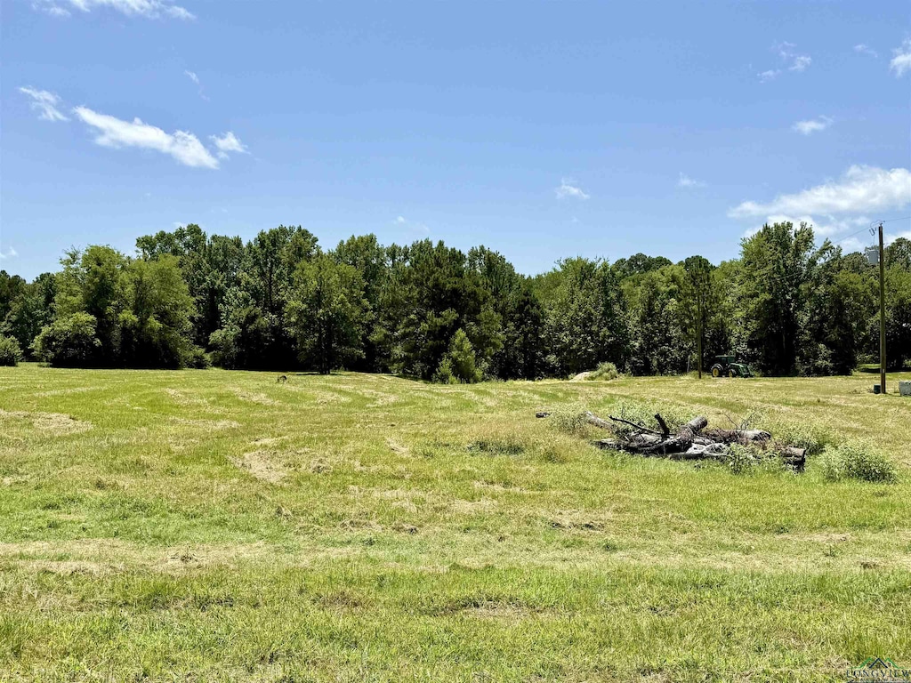 134 Collins Creek Rd, Hallsville, TX 75650 - photo 1
