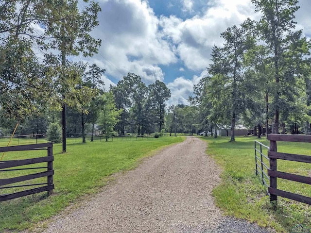 905 Desirees Trl, Tatum, TX 75691 - photo 49