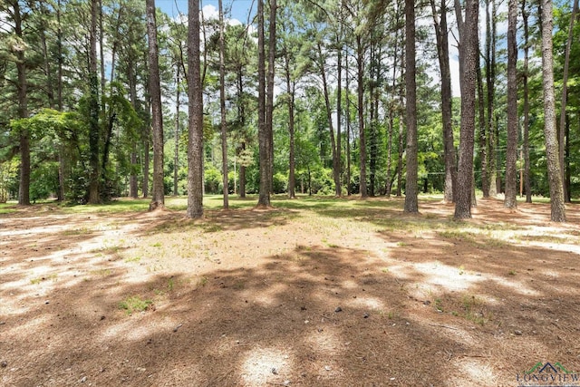 3407 Airline Rd, Longview, TX 75605 - photo 14