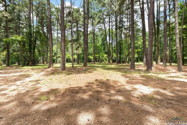 3407 Airline Rd, Longview, TX 75605 - photo 15