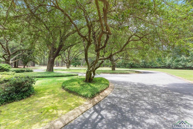 3407 Airline Rd, Longview, TX 75605 - photo 20