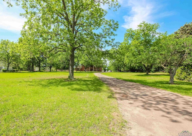 1006 Quitman St, Pittsburg, TX 75686 - view of property's community with a yard
