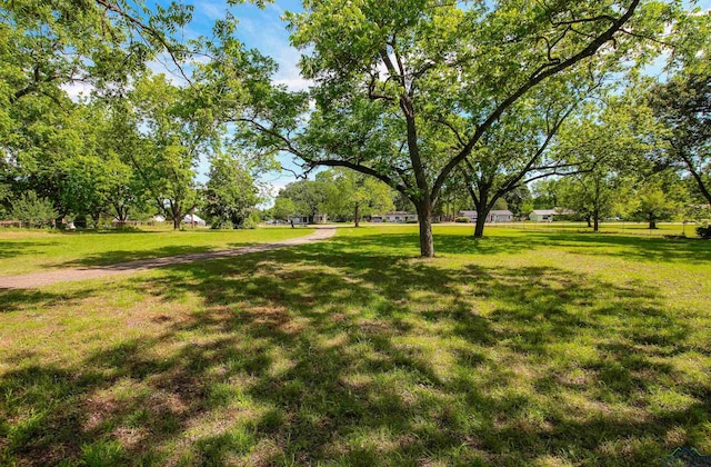 1006 Quitman St, Pittsburg, TX 75686 - view of grassy yard