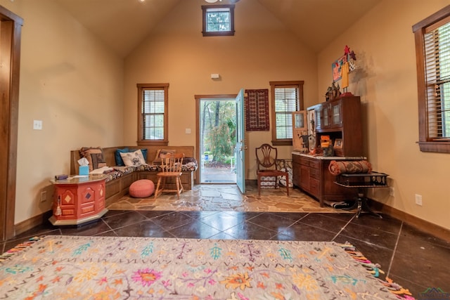 foyer featuring high vaulted ceiling and a healthy amount of sunlight