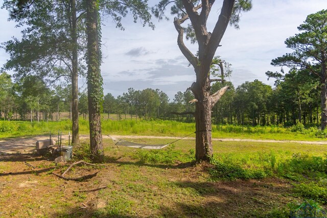 11517 Fm 1649, Gilmer, TX 75683 - photo 8