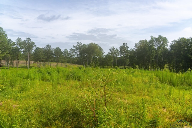 11517 Fm 1649, Gilmer, TX 75683 - photo 7