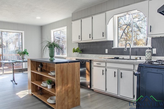 kitchen with white cabinets, a healthy amount of sunlight, and black dishwasher