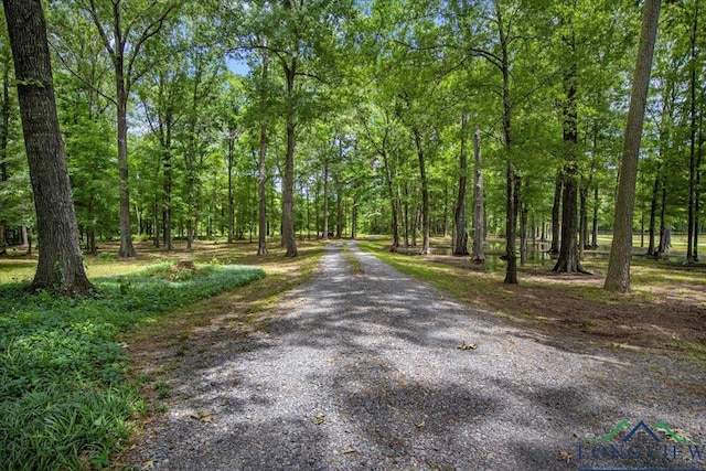 view of dirt / gravel road with a view of trees