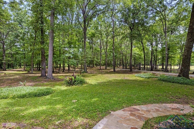 view of green lawn