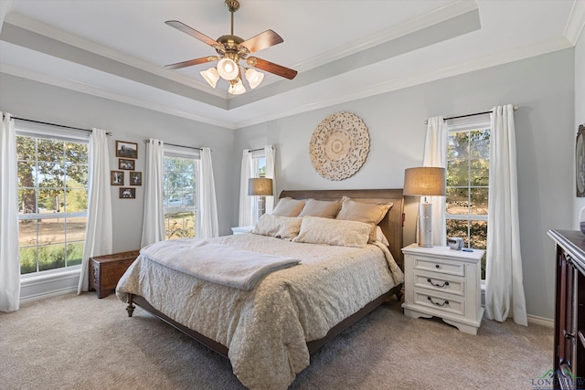 carpeted bedroom featuring ceiling fan, multiple windows, and a tray ceiling