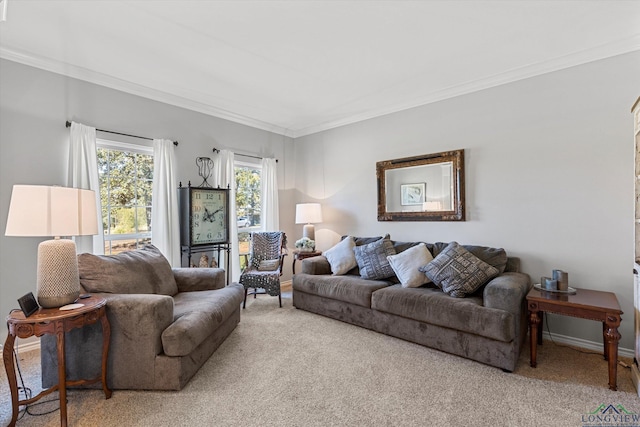 living room with carpet flooring and crown molding