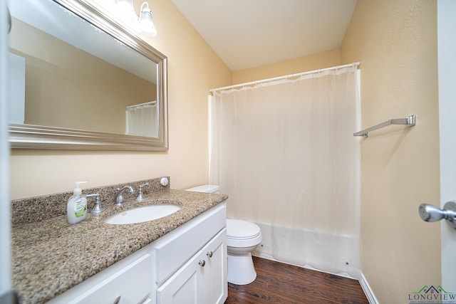 bathroom featuring vanity, curtained shower, toilet, and wood-type flooring