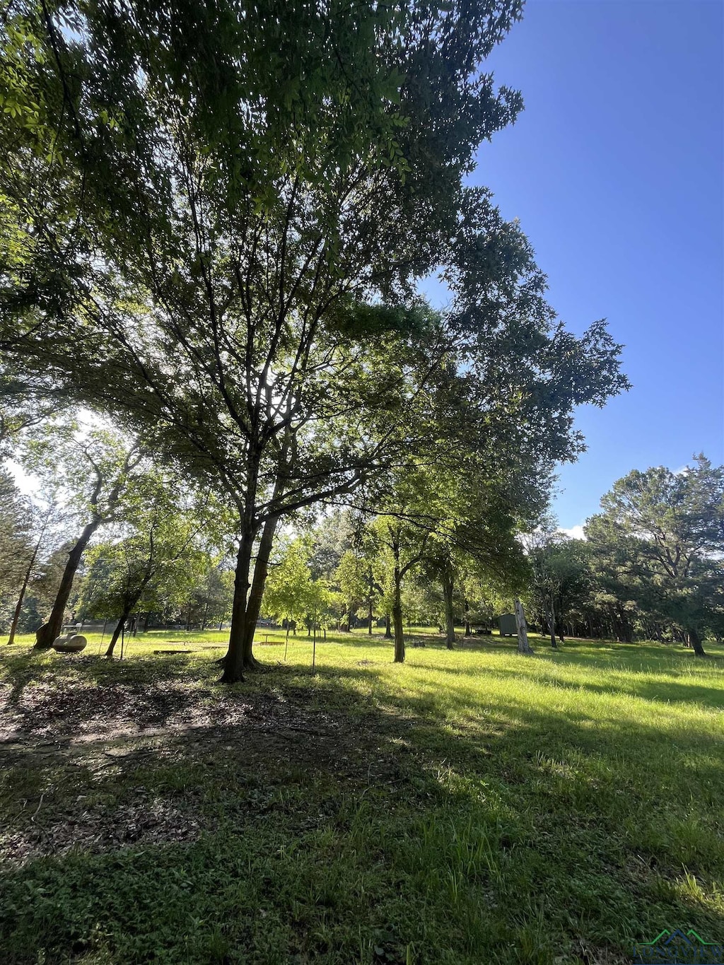 TBD Bass St, Avinger, TX 75630