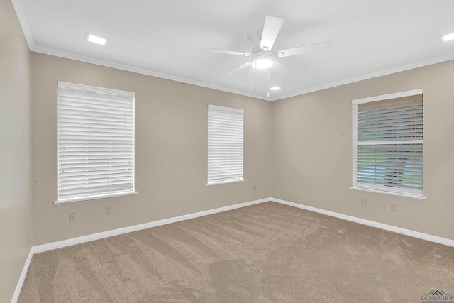 unfurnished room featuring carpet, ceiling fan, and ornamental molding