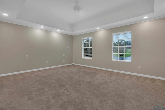 spare room featuring carpet, a raised ceiling, and crown molding