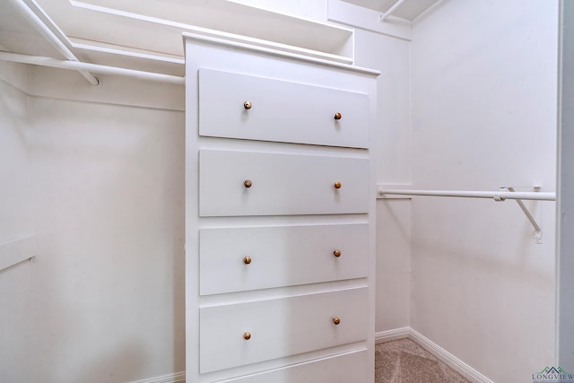 walk in closet with light colored carpet