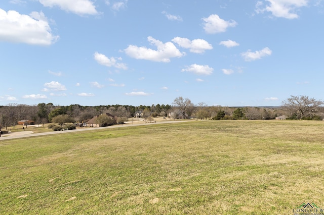 view of yard featuring a rural view