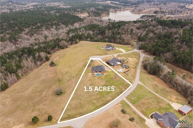 bird's eye view with a forest view and a water view