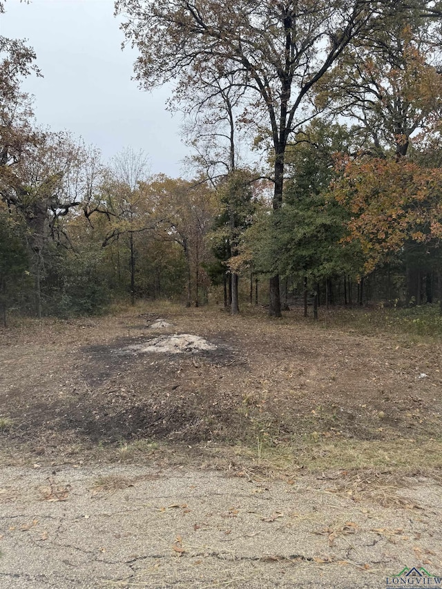 TBD Kayak Dr, Mabank TX, 75156 land for sale