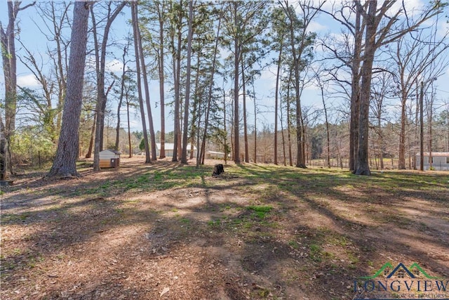 16116 N Fm 2276, Kilgore, TX 75662 - photo 22