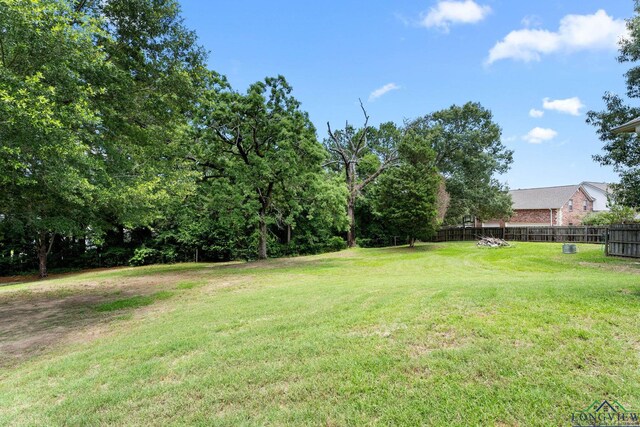12265 Sable Ln, Whitehouse, TX 75791 - view of yard