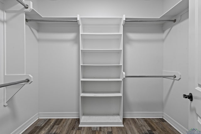 walk in closet featuring dark hardwood / wood-style floors