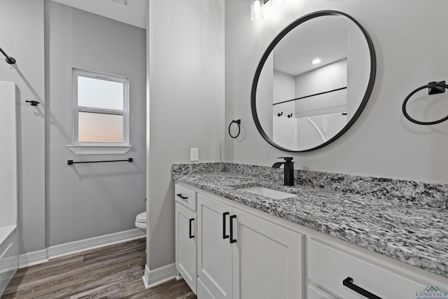 bathroom with vanity, wood-type flooring, and toilet