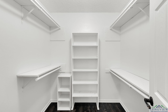 walk in closet with dark hardwood / wood-style floors