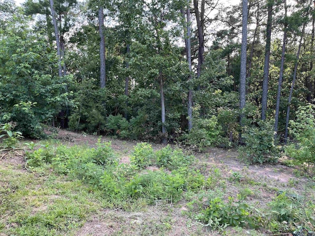 145 Newsome Rd, Gilmer, TX 75644 - photo 3