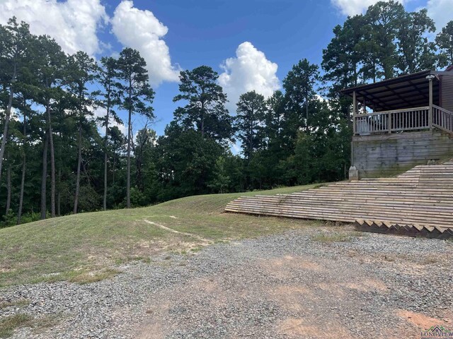 145 Newsome Rd, Gilmer, TX 75644 - photo 6