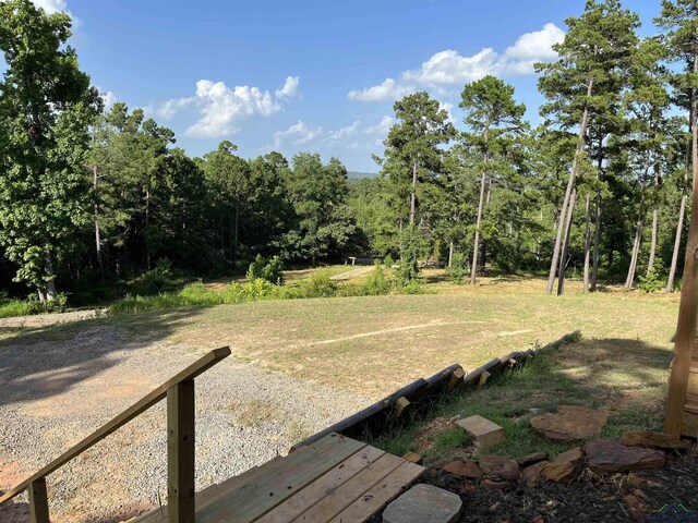 145 Newsome Rd, Gilmer, TX 75644 - photo 2