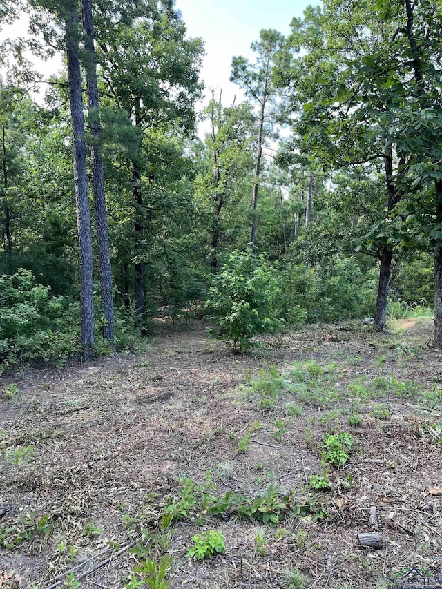 145 Newsome Rd, Gilmer, TX 75644 - photo 4