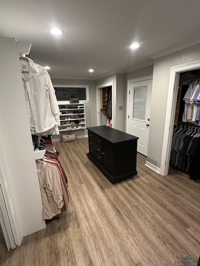 spacious closet featuring wood-type flooring