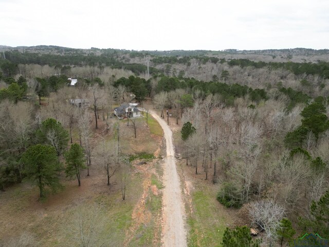 3381 Noonday Rd, Hallsville, TX 75650 - photo 40
