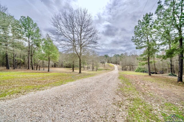 3381 Noonday Rd, Hallsville, TX 75650 - photo 37