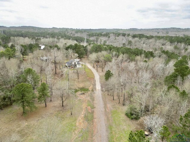 3381 Noonday Rd, Hallsville, TX 75650 - photo 39