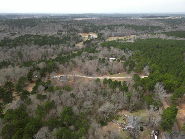 3381 Noonday Rd, Hallsville, TX 75650 - photo 43