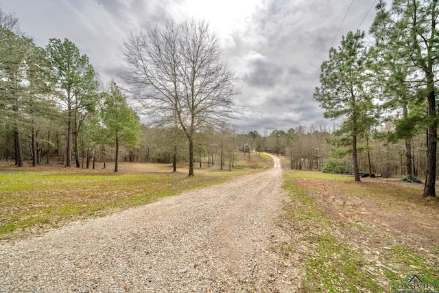 3381 Noonday Rd, Hallsville, TX 75650 - view of dirt / gravel road featuring a wooded view