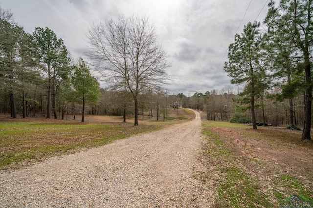 view of road featuring a wooded view