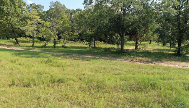 11241 C R 490, Tyler TX, 75706 land for sale