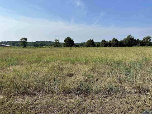 Listing photo 2 for TBD Red Hawk Rd, Gilmer TX 75645